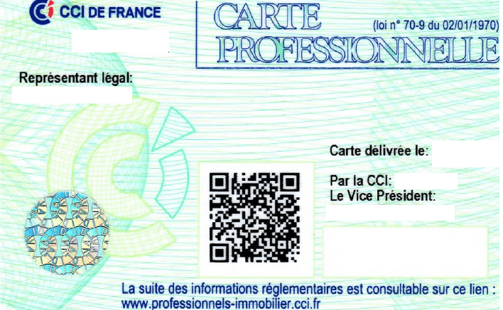 carte professionnelle immobilier